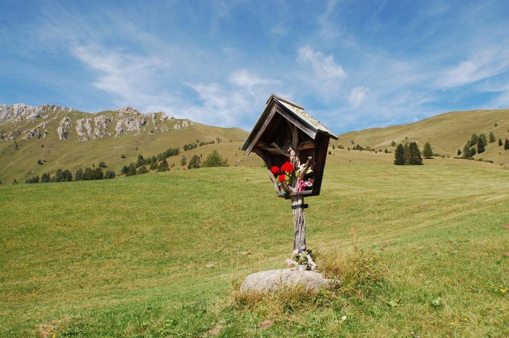 Cimon Dolomites Hotel プレダッツォ エクステリア 写真