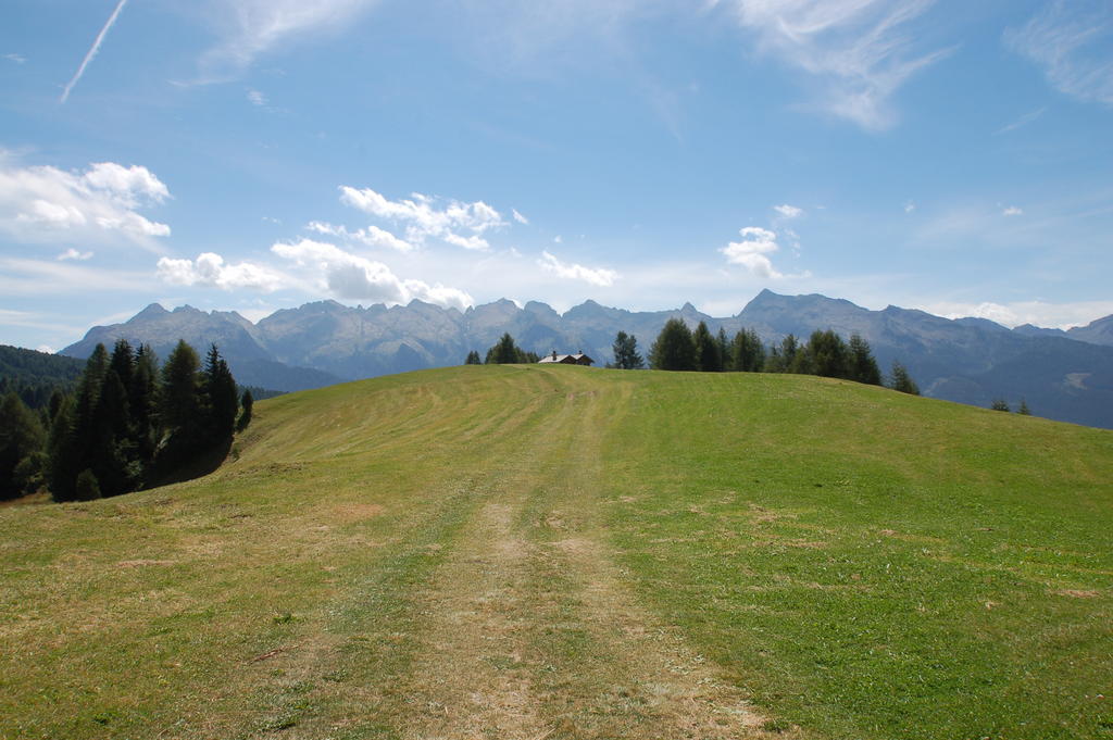 Cimon Dolomites Hotel プレダッツォ エクステリア 写真