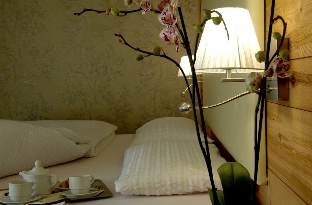 Cimon Dolomites Hotel プレダッツォ エクステリア 写真