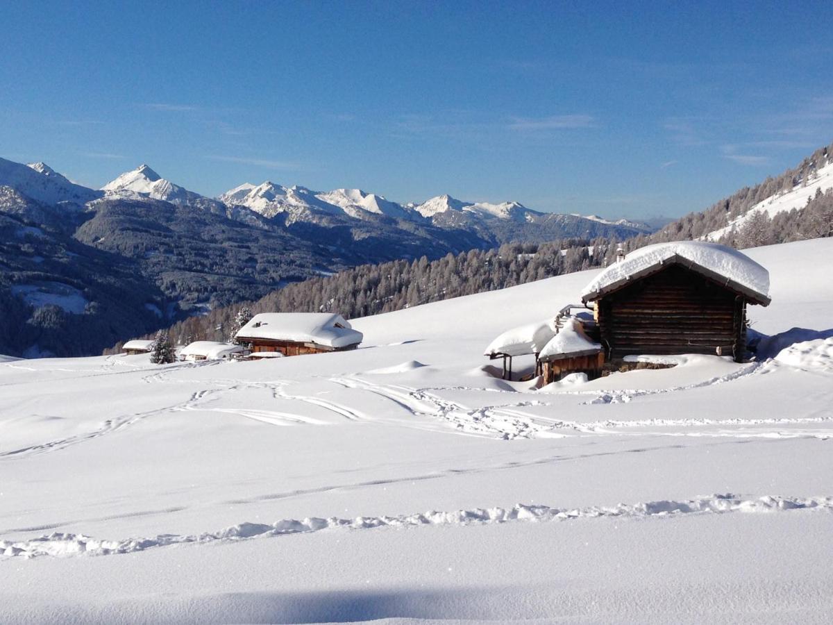 Cimon Dolomites Hotel プレダッツォ エクステリア 写真