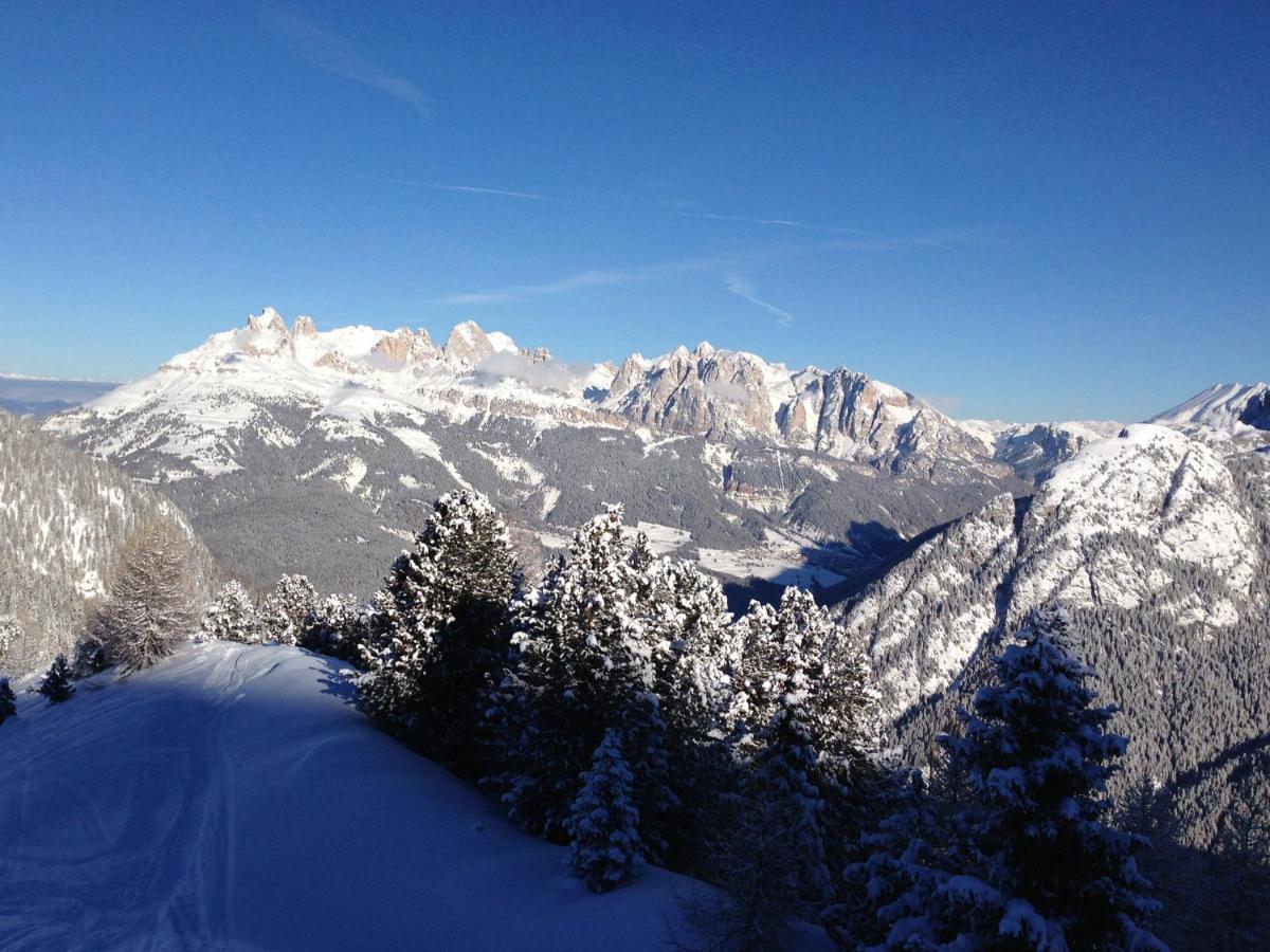 Cimon Dolomites Hotel プレダッツォ エクステリア 写真