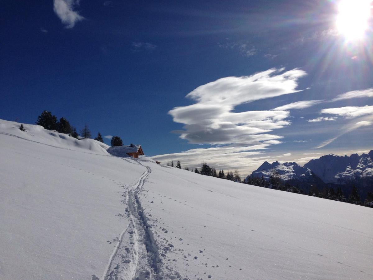 Cimon Dolomites Hotel プレダッツォ エクステリア 写真